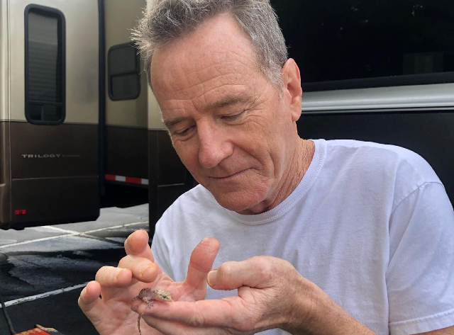 07 de março de 1956: Bryan Cranston, ator, dublador e diretor nascido na Califórnia, Estados Unidos